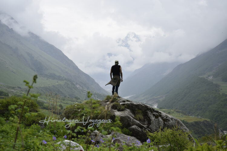 valley of flowers