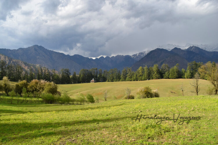 sainj valley